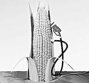 ����ȼ�ό����ٰlչ