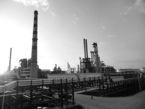 �����_�l(f��)����һ�w����퓎r��l(f��)չ