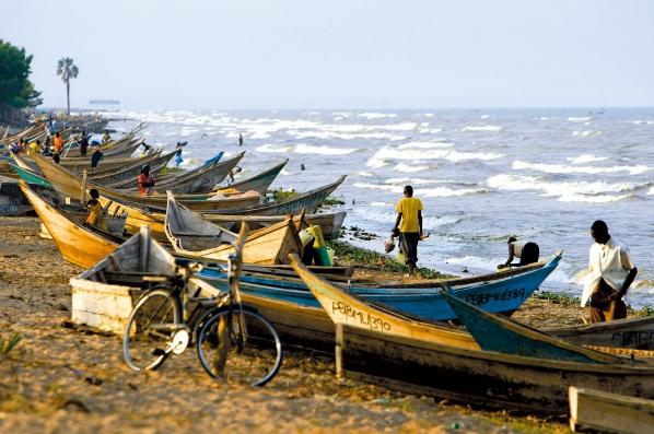 Ӣ��(gu��)����ʯ��