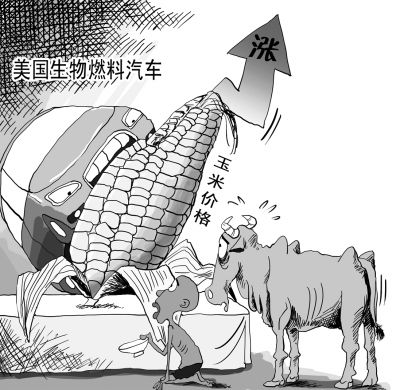 ����ȼ��